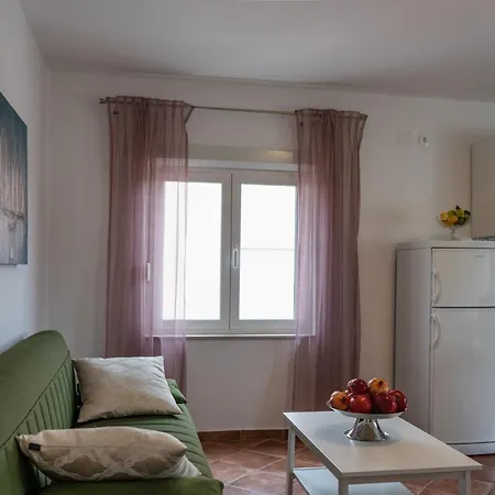 Apartment Ivanka Vrsi